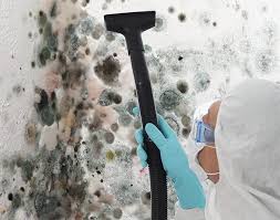 Best Environmental Consulting for Mold Prevention in Lipscom, AL